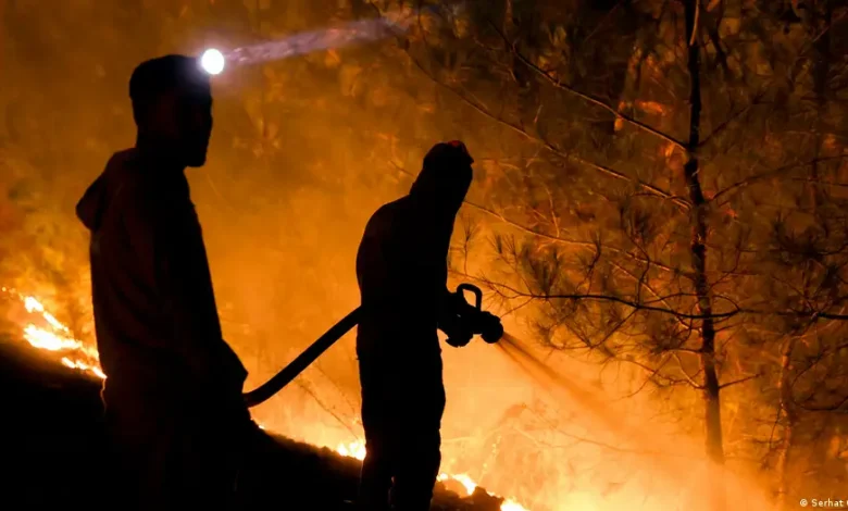 Incendios forestales en Europa ceden en Francia y España