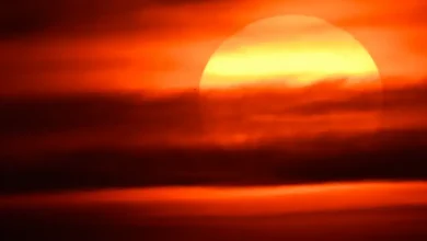 Ola de calor y cuerpo humano límites de adaptación