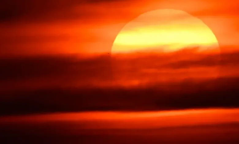 Ola de calor y cuerpo humano límites de adaptación