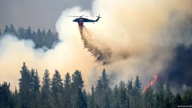 Incendios forestales en el noroeste de Estados Unidos se agravan