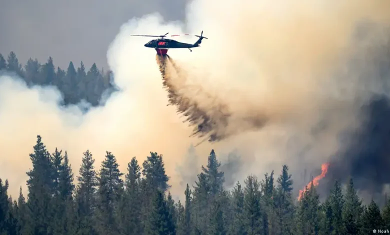 Incendios forestales en el noroeste de Estados Unidos se agravan