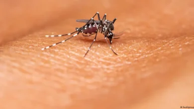 Malaria en África cambia por el clima