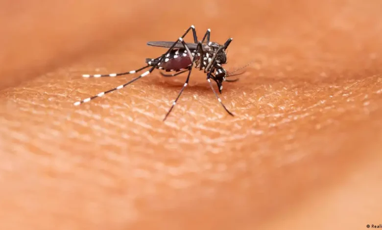 Malaria en África cambia por el clima