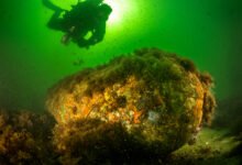 Municiones contaminan mares de Alemania