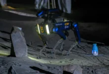 Perros robot lunares el plan de China