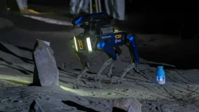 Perros robot lunares el plan de China