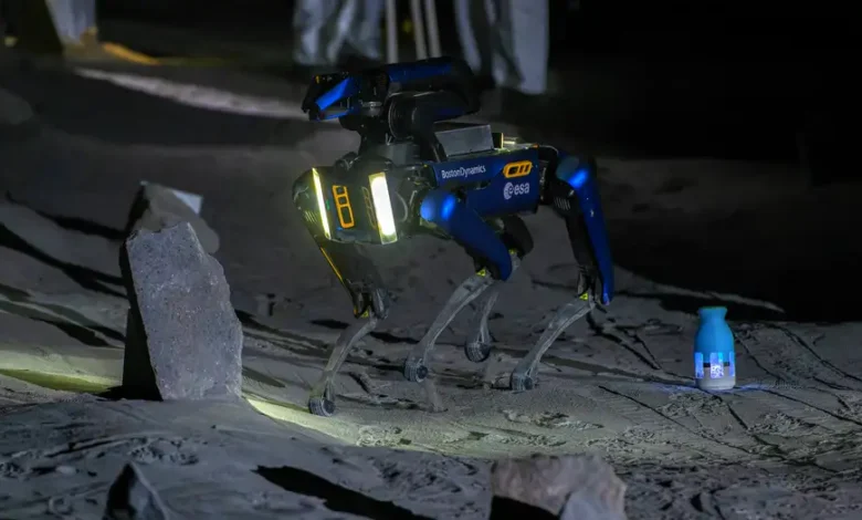 Perros robot lunares el plan de China