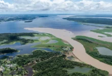 Petróleo en la Amazonía Petrobras halla indicios