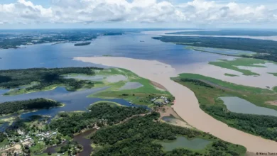 Petróleo en la Amazonía Petrobras halla indicios