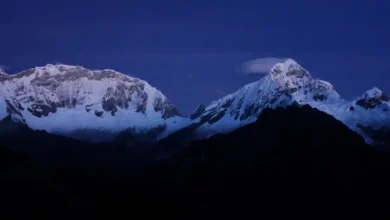 Fujimori relanza Sierra Verde en Perú