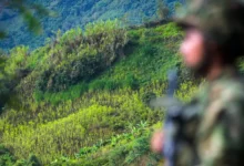 Operación militar en Nariño deja siete disidentes muertos
