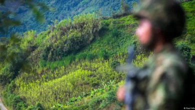 Operación militar en Nariño deja siete disidentes muertos