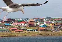 Sanciones por Malvinas Milei endurece medidas
