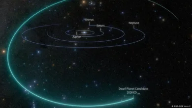 Planeta enano más allá de Plutón descubren 2026 ED138